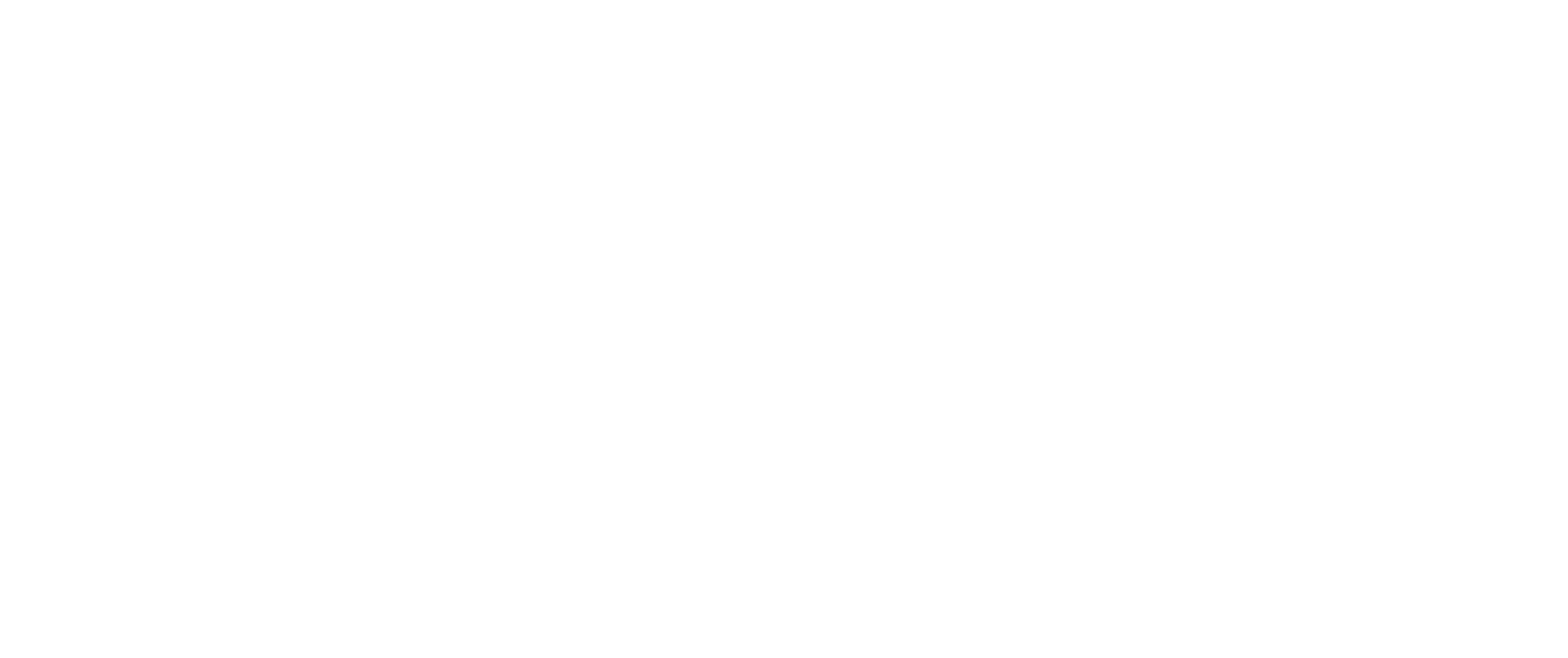 Bjørsviks